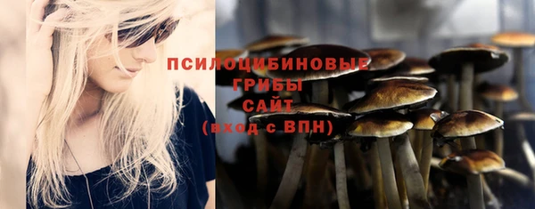 экстази Осинники
