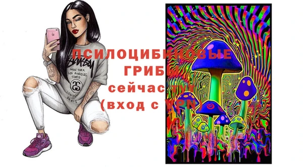 меф Осташков