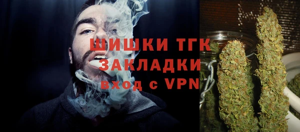 спайс Няндома