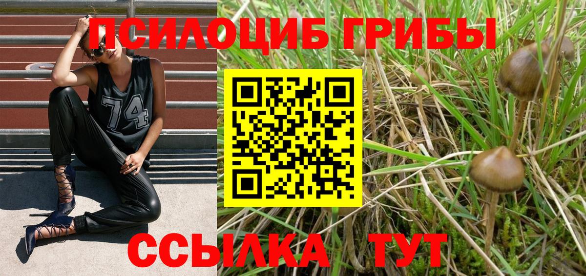 Псилоцибиновые грибы мицелий Семилуки