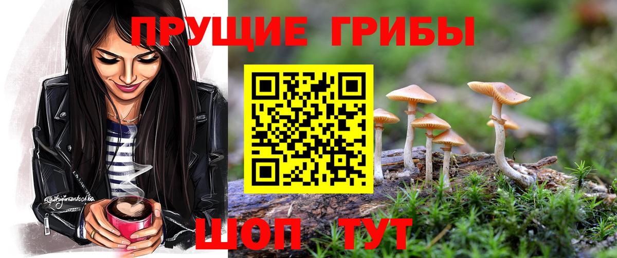 Галлюциногенные грибы ЛСД  Псилоцибиновые грибы Psilocybe  Семилуки  Вход с VPN 