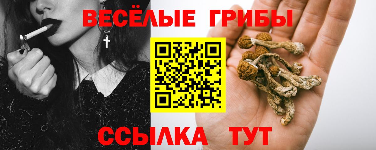 Псилоцибиновые грибы Psilocybe Семилуки